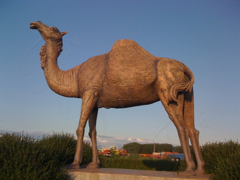 bronze camel sculpture application